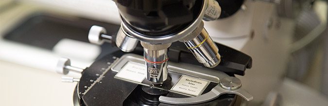 RRR Microscopes at BaneBio, Guest Post by James Averill RRR Microscopes at BaneBio, Guest Post by James Averill