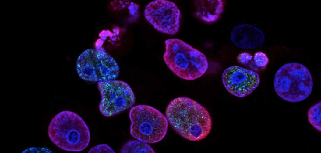 7 Evolving Life Sciences Industry Trends for 2022 BaneBio