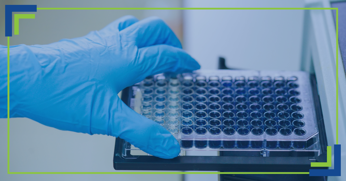 Scientist using a microplate reader