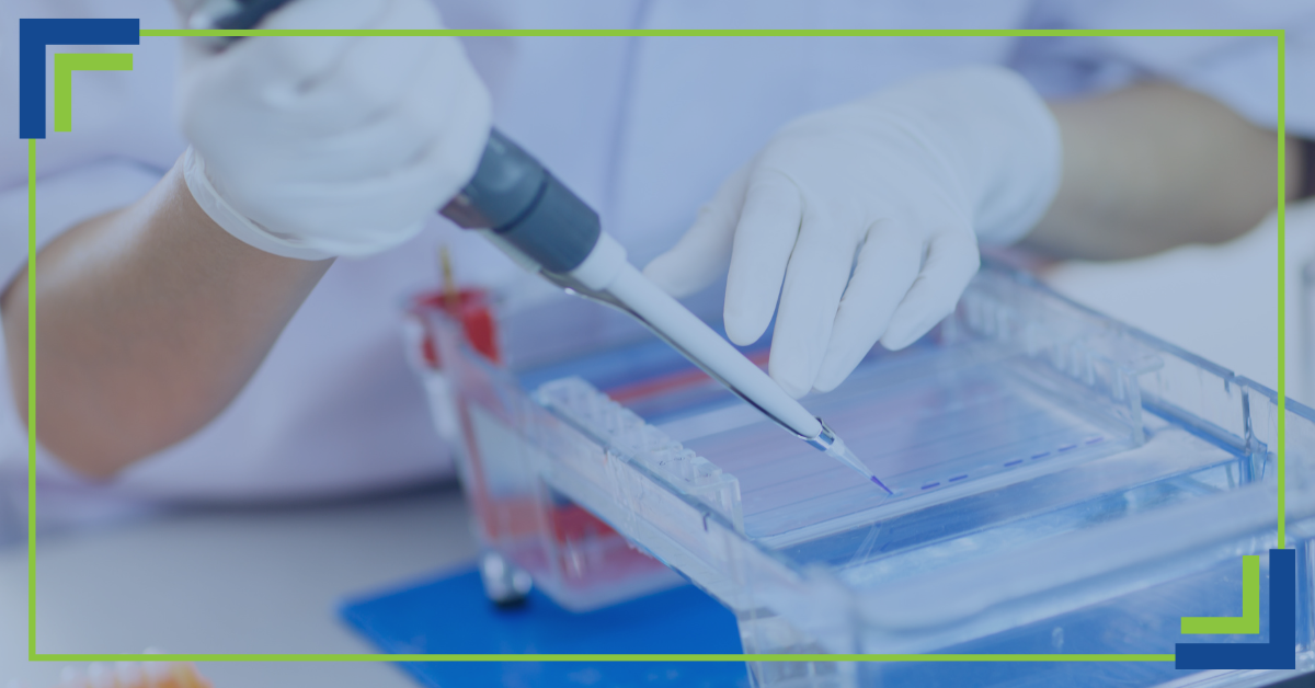 Scientist using electrophoresis technique