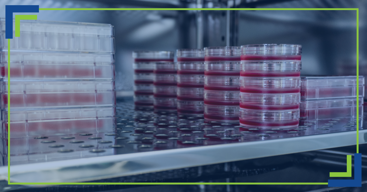 Lab incubator holding petri dishes