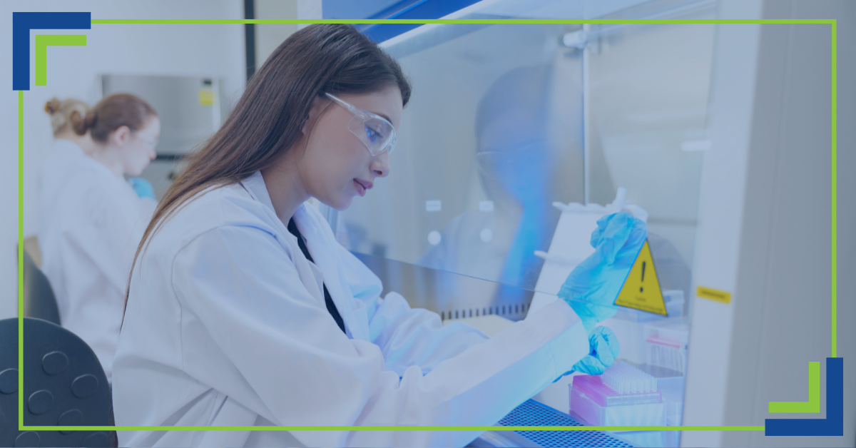 A lab tech working underneath a biosafety cabinet.