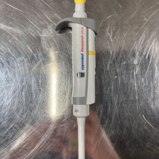 20260805_181954505_iOS.jpg